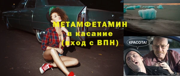 шишки Гусиноозёрск