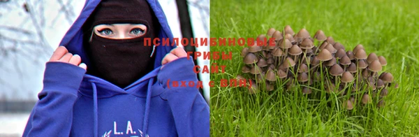 ALPHA-PVP Горнозаводск