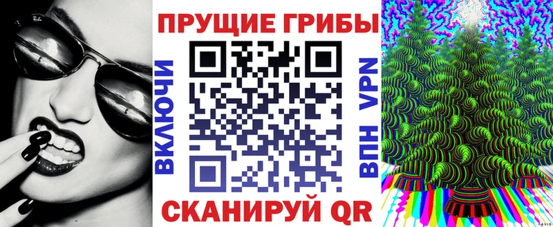 Купить  Пласт  Псилоцибиновые грибы Magic Shrooms 